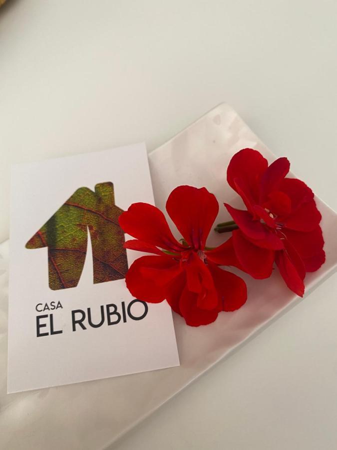 산 비센테 데 라 손시에라 Casa El Rubio 빌라 외부 사진